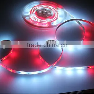 High Power Led Strip thumbnail-1