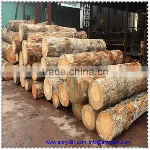 Pine Wood Door Lvl Logs thumbnail-1