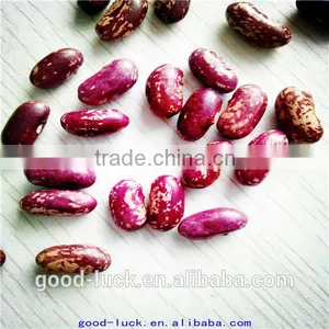Chinese Purple Speckled Kidney Beans thumbnail-5