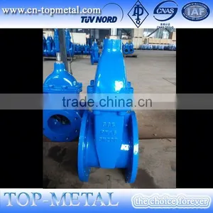 Cast Iron Rising Stem Gate Valve thumbnail-1