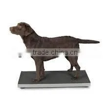 Dog Scales thumbnail-1