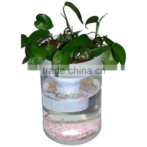 High Quality Mini RGB LED Light Fish Tank Round Acrylic Wholesale Aquarium Quality Choice thumbnail-3