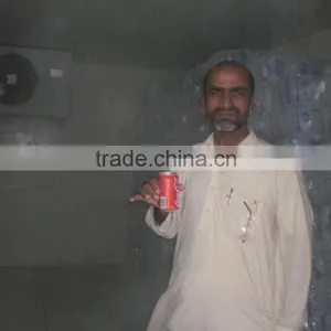 CBFI Guangzhou Walk in Refrigerator for Warehouse thumbnail-1