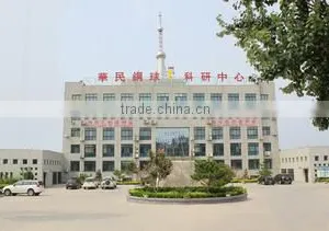 Shandong Huamin Steel Ball Joint-Stock Co., Ltd. company overview - view 1 thumbnail