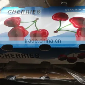 Bagged China Fresh Cherries High Quality thumbnail-6