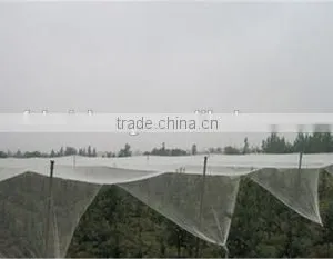 Woven Fabric Netting to Protect Apple Tree From Hail,insect Bit,anti-birds thumbnail-2