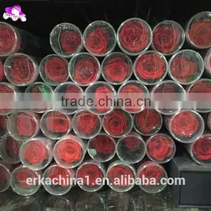 Natural Preserved Roses With Stems thumbnail-6