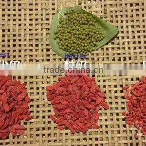Organic Goji Berries thumbnail-6