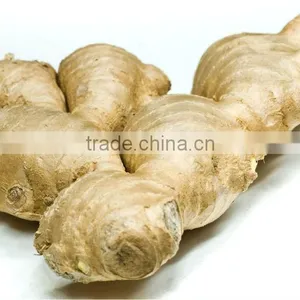 Ginger Supply From Karanataka thumbnail-1
