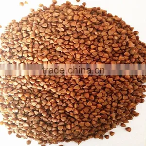 2016 Crop ---Roasted Buckwheat Kernels thumbnail-1