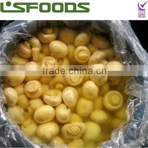Mushroom in Brine in Drum thumbnail-1