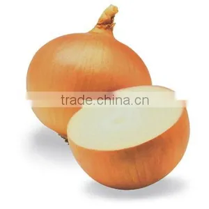 2012 Yellow Onion in 10kg Mesh Bag Package.MOQ:1X40FCL. thumbnail-1