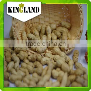 Peanut in Shell Processing thumbnail-5
