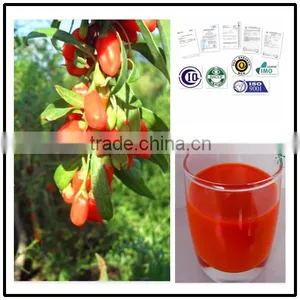 Goji Juice Concentrate for Health,goji Berries,wolfberry Seeds Juice thumbnail-3
