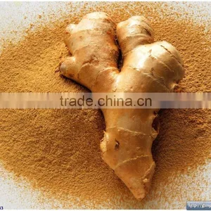 Ginger Powder thumbnail-1