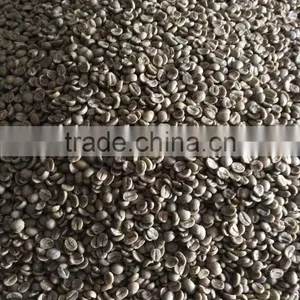 Robusta Type Green Coffee Beans,new Crop,washed,polished Grade AA 18 thumbnail-4