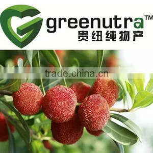 Bayberry Extract thumbnail-1