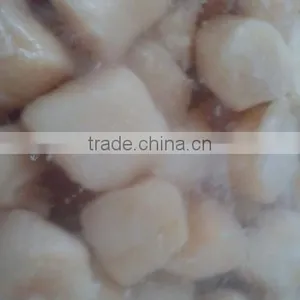 Scallop Meat thumbnail-1