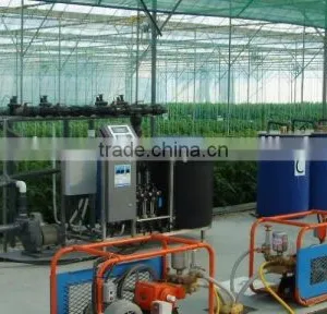 Commercial Greenhouse for Vegetable Production thumbnail-2