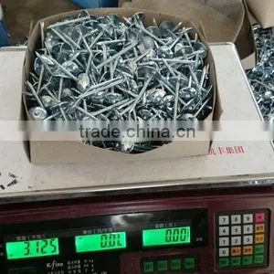 Hot-selling Polished Common Nails / Roofing Nails / Flat Head Nails thumbnail-1