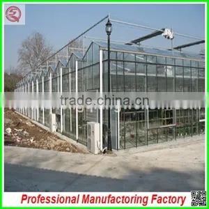 China Supplier Agriculture Farm Multi-span Glass Greenhouses for Hot Sale thumbnail-2
