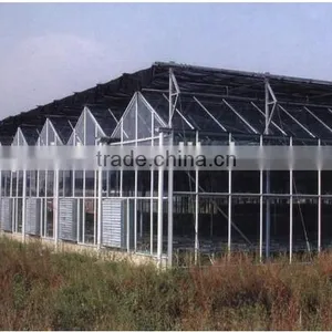 Industrial Size Hot Sale Commercial Glass Greenhouse for Vegetables thumbnail-1