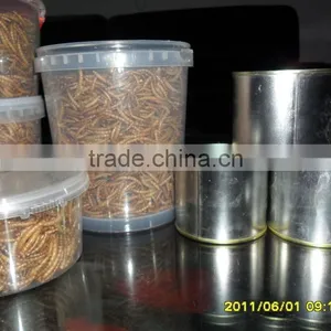 Dried Yellow Mealworm, Rich Nutrition Fish& Bird Food Mealworm thumbnail-4