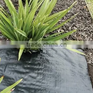 pp Woven Weed Control Black Plastic Mulch Ground Cover thumbnail-5