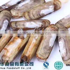 Season for Sale Frozen Razor Clam in Fresh Seafood thumbnail-1