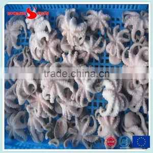 Frozen Baby Otopus IQF Gutted thumbnail-4