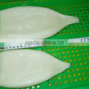 EU Standard Pacific Squid Tube thumbnail-4