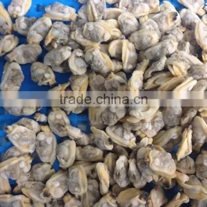 Tasty and Delicious Best Frozen Baby Clam Without Shell Iqf thumbnail-1