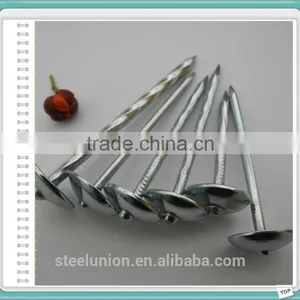 Galvanzied Roofing Nails /umbrella Head Roofing Nails thumbnail-1