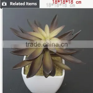 Hot Sale Artificial Potted Plants Chinese Succulent Plants thumbnail-5