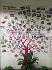 Guangdong BaiHua Science And Technology Co., Ltd. company overview - view 2 thumbnail
