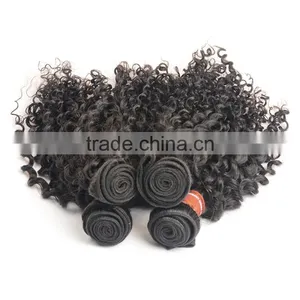 Unprocessed Kinky Curly Virgin Malaysian Hair Wholesale Malaysian Human Hair Weaves Curly Extension thumbnail-2