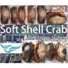 Soft Shell Crab (alive Frozen), Mr Yee Hlaing, AMK, Yangon, Myanmar thumbnail-1