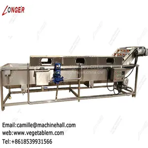 Dates Cleaning and Drying Machine|Fruit and Vegetable Cleaner Line|Automatic Dates Washing Line thumbnail-1