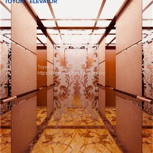 Toyon Residental Villa Elevator 2~3 Floor Without Room thumbnail-2