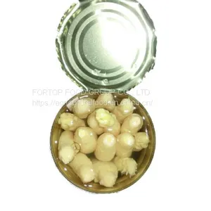Factory Price Premium Fresh Canned White Asparagus Spear in Brine thumbnail-3