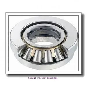 INA 81114-TV Thrust Roller Bearings thumbnail-1