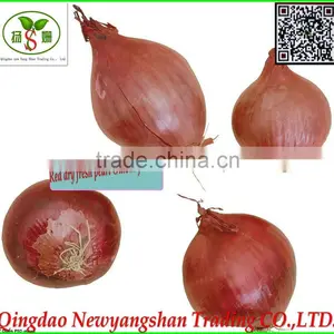 Red Dry Fresh Pearl Onions for Sale/Pearl Onions thumbnail-1