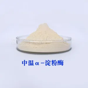 AMYLASE CAS：9001-19-8 Food Grade thumbnail-2