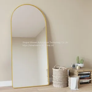Arched Aluminum Frame Full Body Mirror Household Floor Mirror Light Luxury Thin Clothing Store Fitting Mirror thumbnail-3