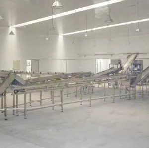 Canned Red Bean and Red Kidney Bean Production Line thumbnail-4