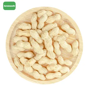Wholesale Lot Uniform Inshell Count Whole Groundnuts 13/15 for Retail Packing thumbnail-5