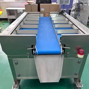 16 Head Belt Weigher Manual Belt Counterweight Weigher for Raw Meat Chicken Fish Steak thumbnail-2