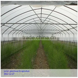 Tunnel Greenhouse for Agriculture thumbnail-1