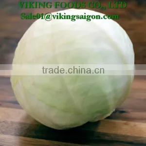 *Special _ Fresh Green Cabbage _ From Vietnam* thumbnail-3