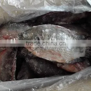 Black Tilapia Whole Round thumbnail-2